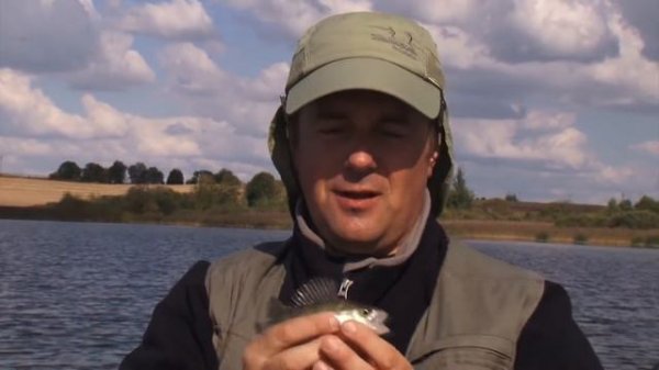 Bait Breath Fish Tail бейт бриз фиш тейл обзор съедобная резина и силикон для джига