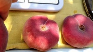 Инжирный персик САТУРН. Объективный обзор ,дегустация.