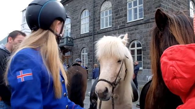 Icelandic horses parade 2017 | Парад исландских лошадей смотреть онлайн