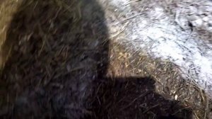 Осушитель подстилки для курятника, своими руками.