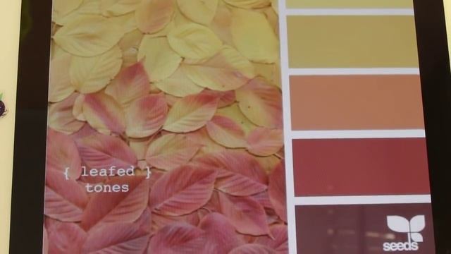 ЛАЙФХАК: Держалка для браслетов и вдохновение смотреть онлайн