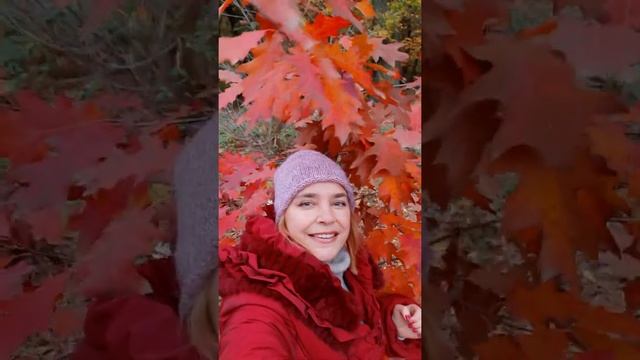 На вальс приглашает осень?? смотреть онлайн