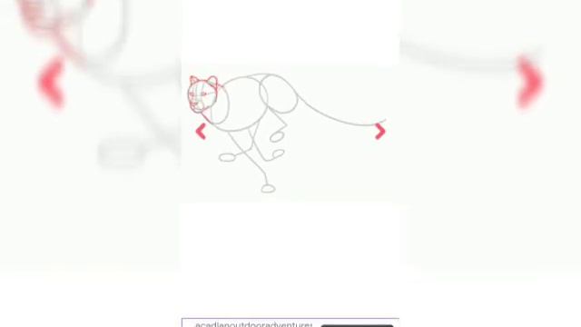 как нарисовать гепарда по этапно!? смотреть онлайн
