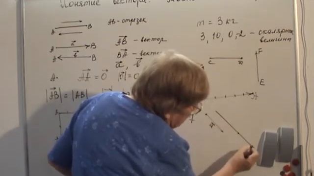 Понятие вектора. Равенство векторов смотреть онлайн