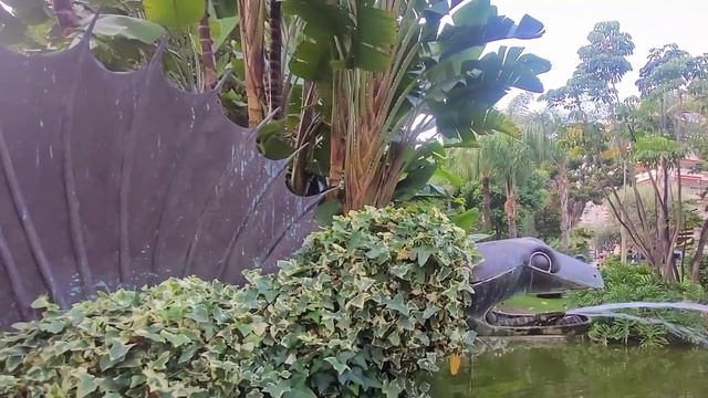 Буддлея Давіда ГУЛІВЕР Buddleja Davidii Gulliver