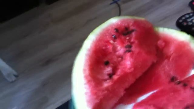 Malamute The Hypnotist. Аляскинские маламуты любят арбузы!... ну, как он просил))