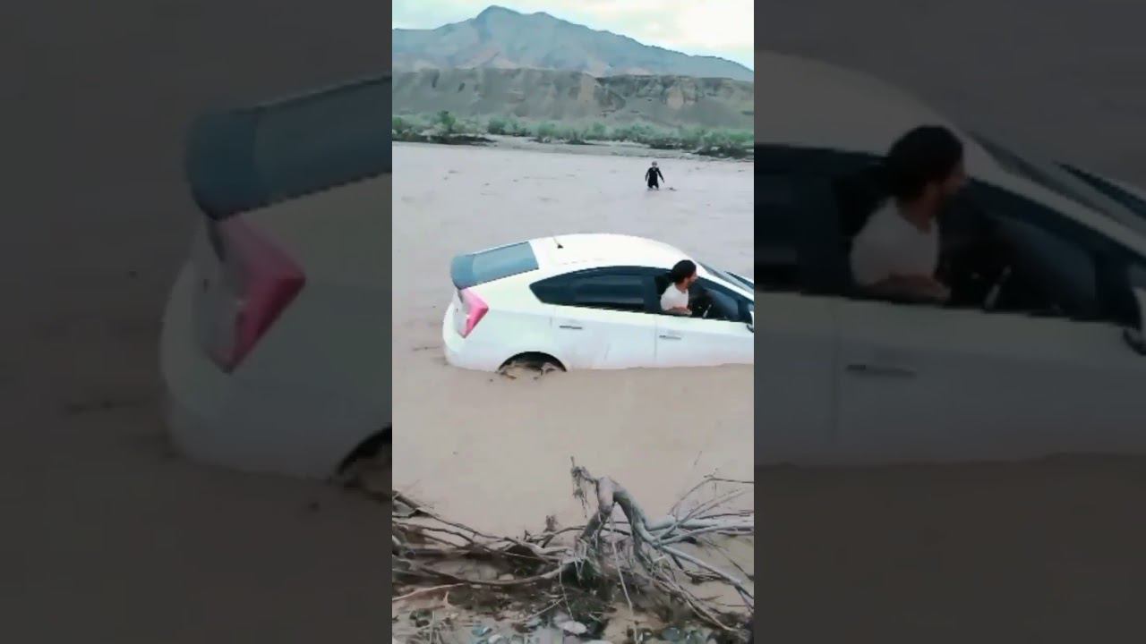 Aмфибия Prius 30 #приус #automobile #тойота #ремонт #lexus #топ смотреть онлайн