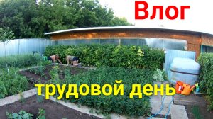 VLOG ● Один день из нашей жизни. Работаем на участке и отдыхаем.