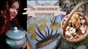 В лес за зимними опятами | Рецепт супа из опят