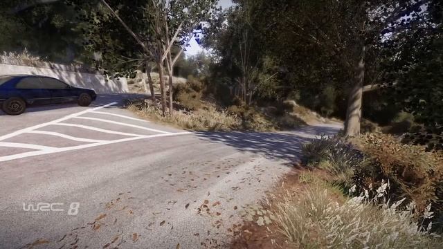 WRC 8|Ford Fiesta WRC|Logitech g29|Germany|Flat out смотреть онлайн