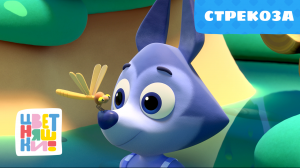 Цветняшки — Стрекоза — Серия 32 — Развивающий мультфильм