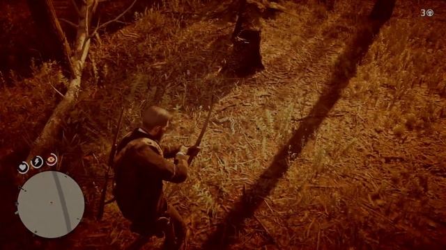Red Dead Redemption 2 How To Get Perfect SNAKE SKIN TIPS & Location (RDR2 Animals) смотреть онлайн