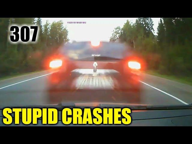 Stupid driving mistakes 307 (January 2019 English subtitles) смотреть онлайн