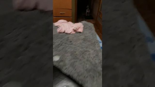 Ты что съел, чтоли🤣 смотреть онлайн