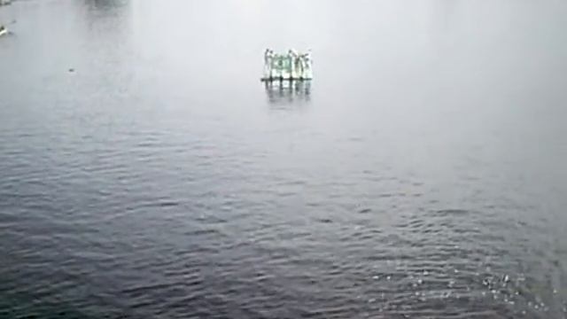 52. Piena regate. Праздник молока. Плоты и лодки из молочных пакетов. Юмор. смотреть онлайн