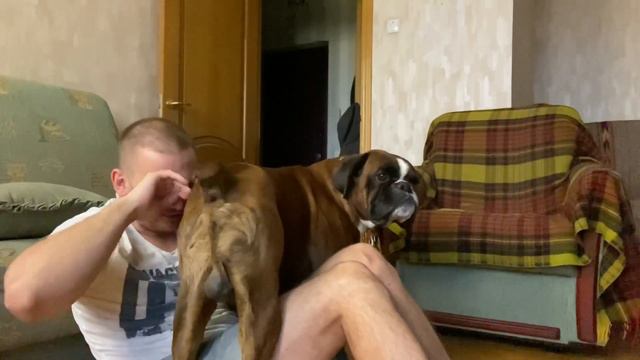 Funny Dog Reaction to me Crying - PRANK смотреть онлайн