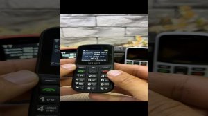 Бабушка Фон B210 MXMID с большими кнопками