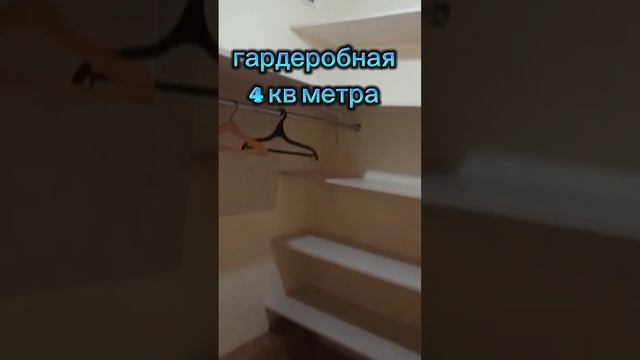 Снять квартиру в Санкт-Петербурге. Сдается квартира у метро проспект Просвещения. смотреть онлайн