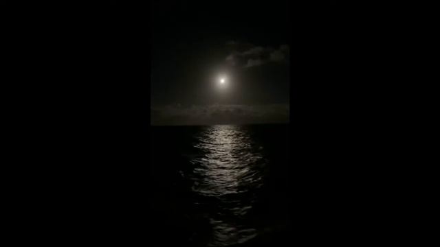 ITALO DISCO - MAGICAL NIGHT - KAREEM SAMY смотреть онлайн