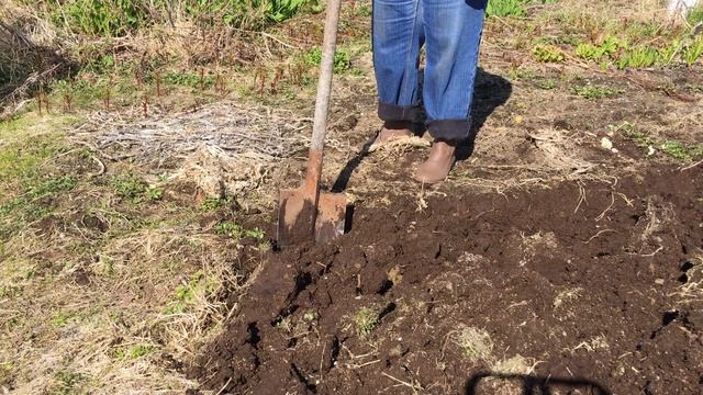 Как вскопать грядки смотреть онлайн