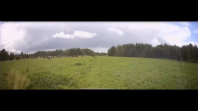 Яндекс навигатор в режиме пешехода - удобно! смотреть онлайн