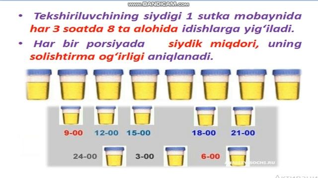 Зимницкий синамаси смотреть онлайн