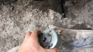 Сузуки Сепия не заводиться.