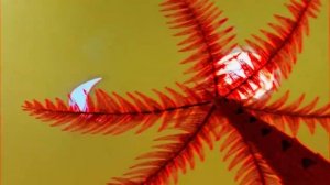 Красная Чунга-Чанга