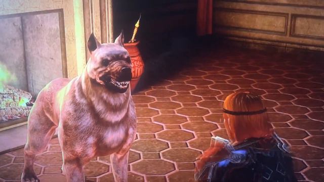Dragon Age 2 - Aveline and dog смотреть онлайн