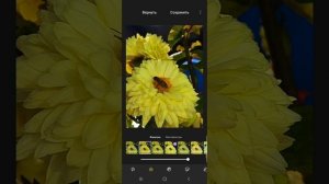 Как улучшить фото с помощью фильтров на телефоне