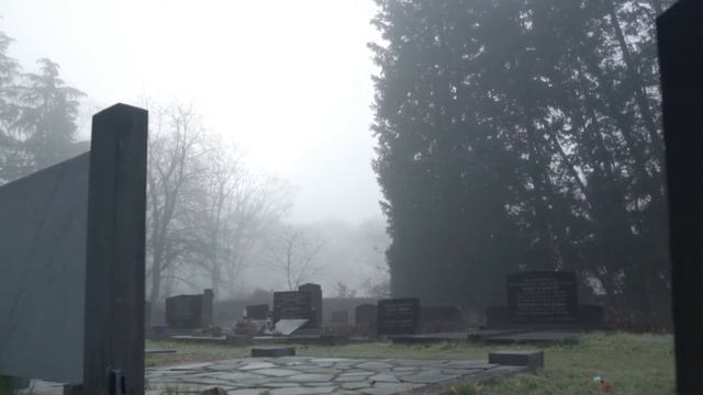 Ночь | Рыбалка | Тишина... смотреть онлайн