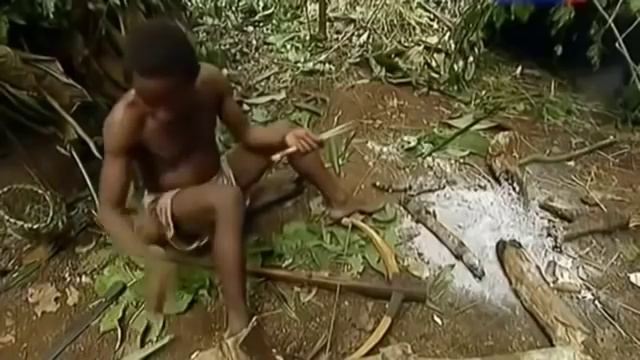 Жизнь по законам джунглей Камерун смотреть онлайн