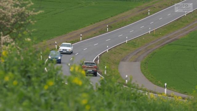 Renault Kadjar: Komfortabler Charmebolzen - Die Tester | auto motor und sport смотреть онлайн
