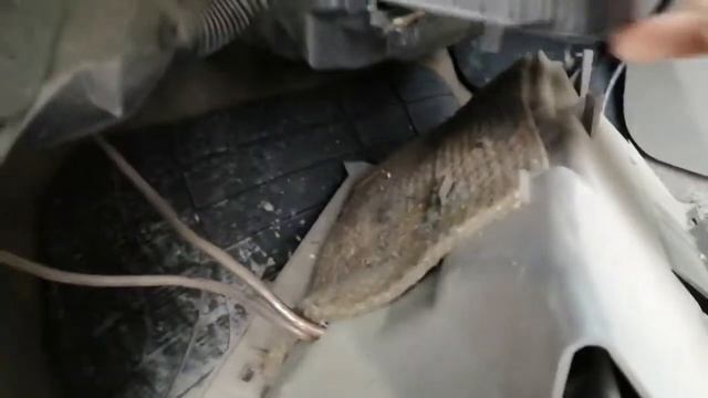 Ниссан цефиро а33 замена салонного фильтра смотреть онлайн