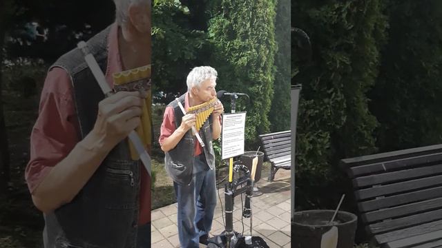 Адыгея, Майкоп , парк, Петр Черных смотреть онлайн
