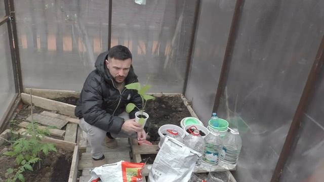 КАРАНТИН / ВЕТРЯНКА / СКАЗАЛИ ОТПУСТЯТ ДОМОЙ / БОЛЬНИЦА / ДОМ / СНЯТЬ ЖИЛЬЕ / ТЕПЛИЦА / АНАПА смотреть онлайн