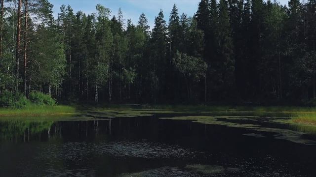 КП "Агалатово Экопарк" ход строительства: Июль 2020 смотреть онлайн