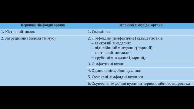 349. Класифікація лімфоїдних (імунних) органів - AnatomUa - AUDIO смотреть онлайн