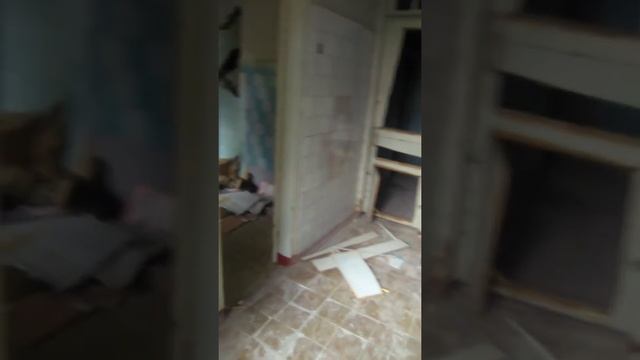 Выбиваем двери смотреть онлайн