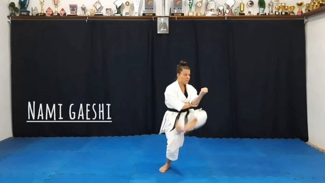 Nome dos Movimentos - Tekki Shodan - Karate Shotokan смотреть онлайн
