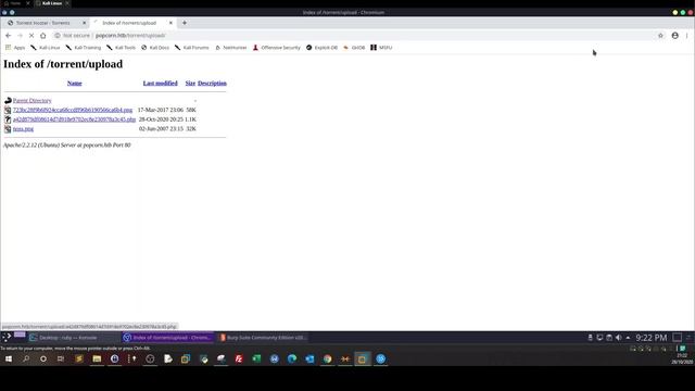 Bypassing File Upload Filters P4|  HackTheBox PopCorn
