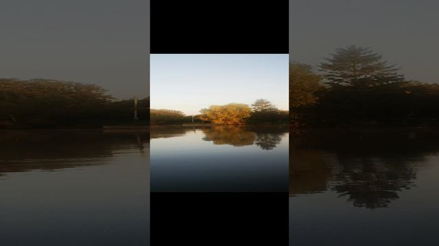 Калининград для всех