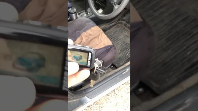 Как записать пульт автосигнализация Tiger Shark 3018 смотреть онлайн