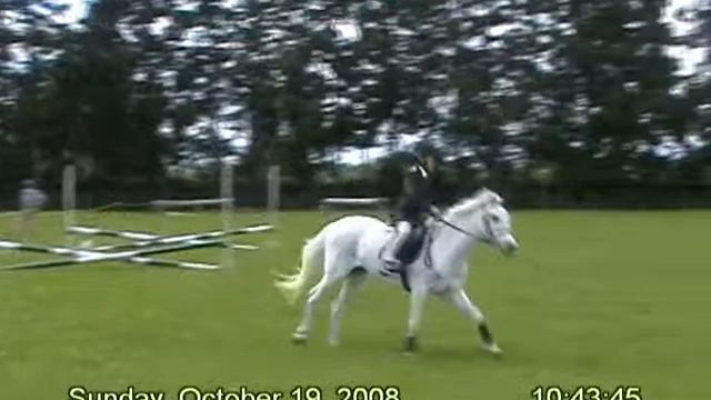Leamington Show Jumping 40cm смотреть онлайн