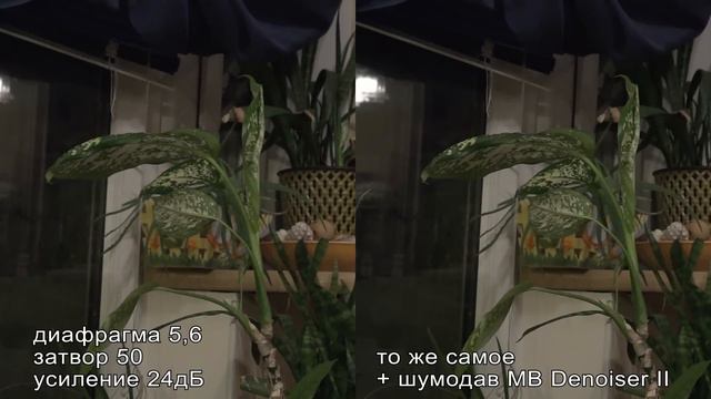 еще один Тест NEX-EA50 - "вечерний" смотреть онлайн