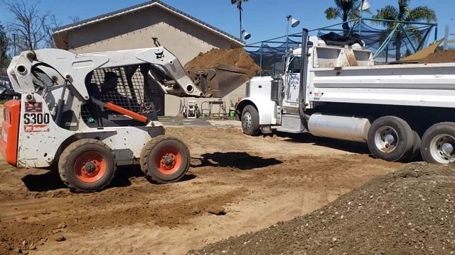 Bobcat S300
