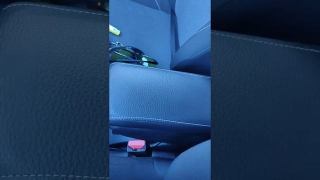 Бюджетный подлокотник для Logan Stepway. смотреть онлайн