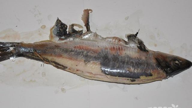 Рецепты от шеф-повара