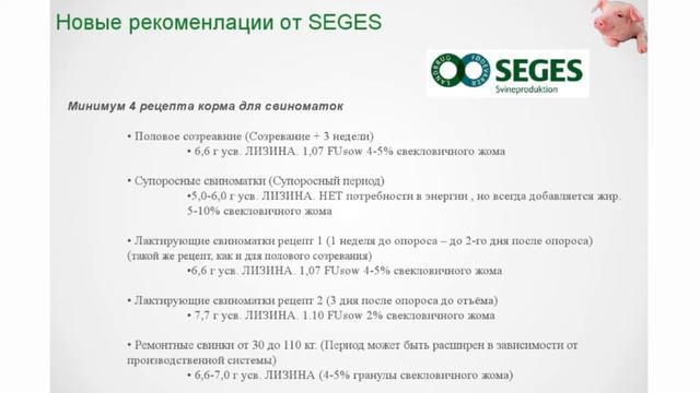 ANIMALPROFI Свиноводство 2018. Анита Урбанчик: Кормление свиноматок в супоросный период смотреть онлайн