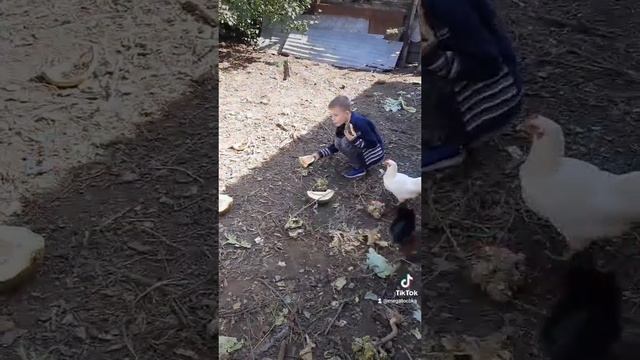 хозяйство.mp4